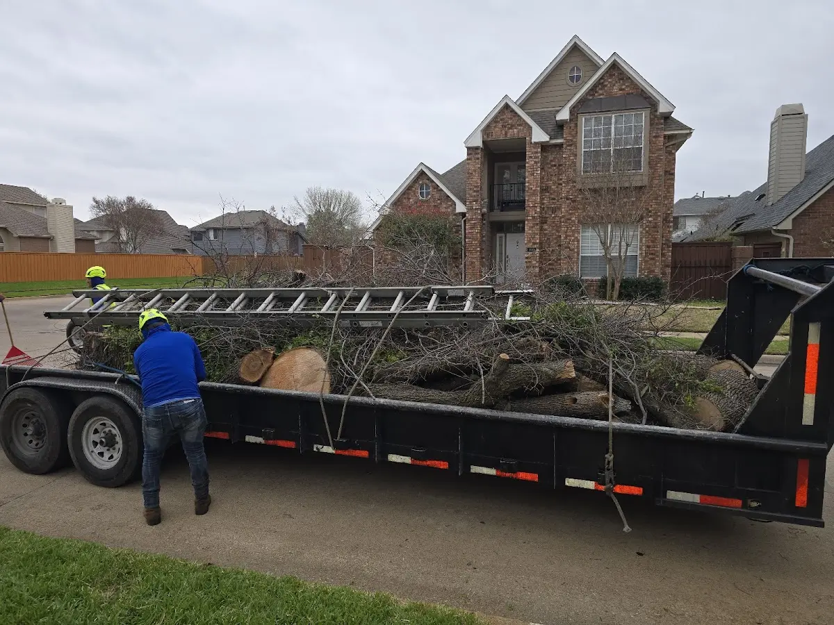 Expert Crown Reduction with proper safety equipment in Harveysburg